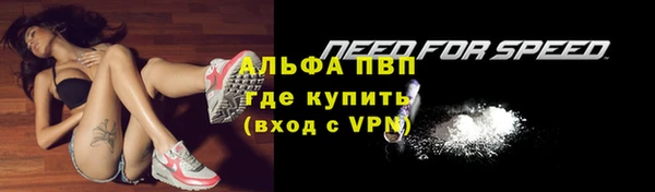 индика Сатка