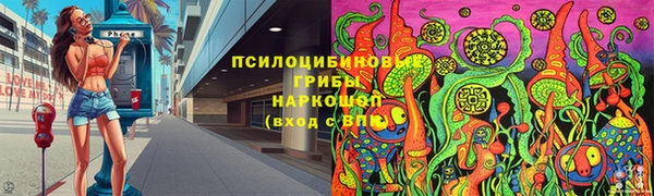 индика Сатка