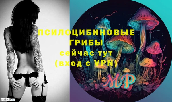 ешки Белоозёрский