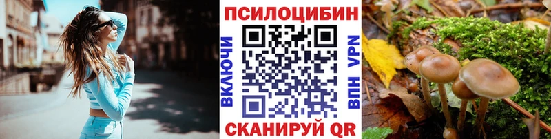 hydra ссылка  Новотитаровская  Псилоцибиновые грибы прущие грибы  наркошоп 